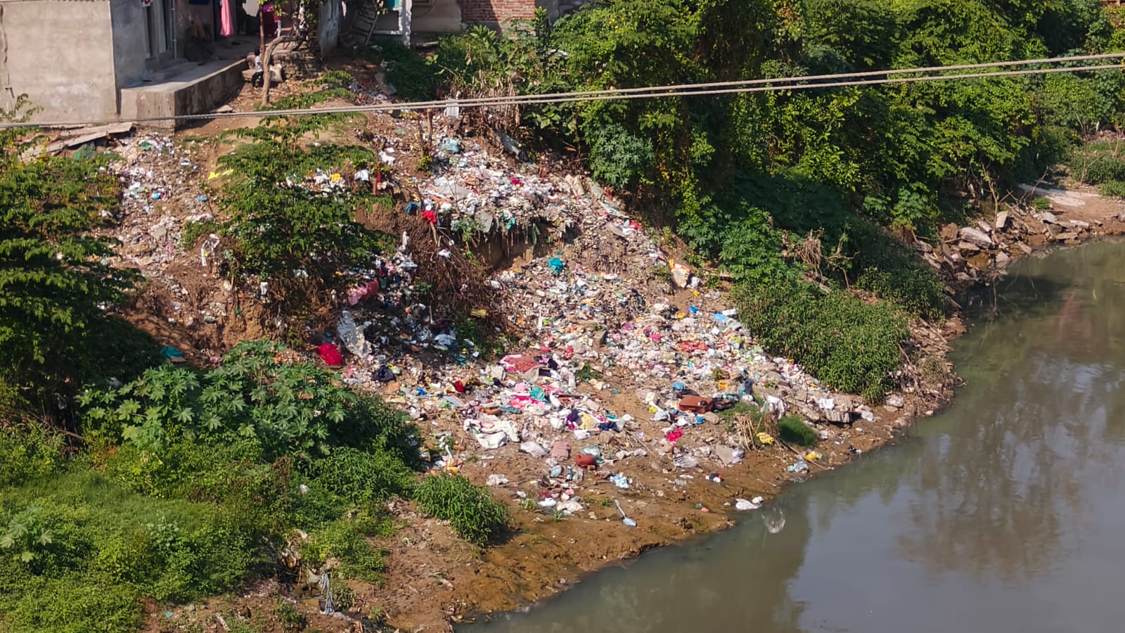 કરો કચરો નથી દંડ: વિશ્વામિત્રી નદી કાંઠે પાલિકાની નિષ્ક્રિયતા વડોદરા માટે જોખમ