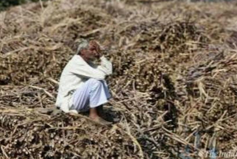 આર્થિક સંકડામણના કારણે ગુજરાતમાં 25 દિવસમાં 6 ખેડૂતોનો આપઘાત