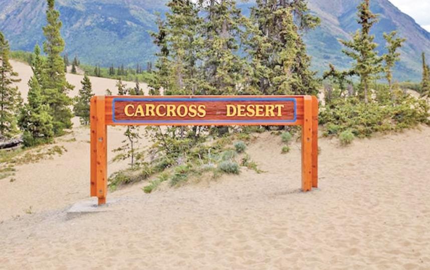 કેનેડાના ઉત્તર-પશ્વિમ વિસ્તારમાં દુનિયાનું સૌથી નાનું રણ આવેલું છે!