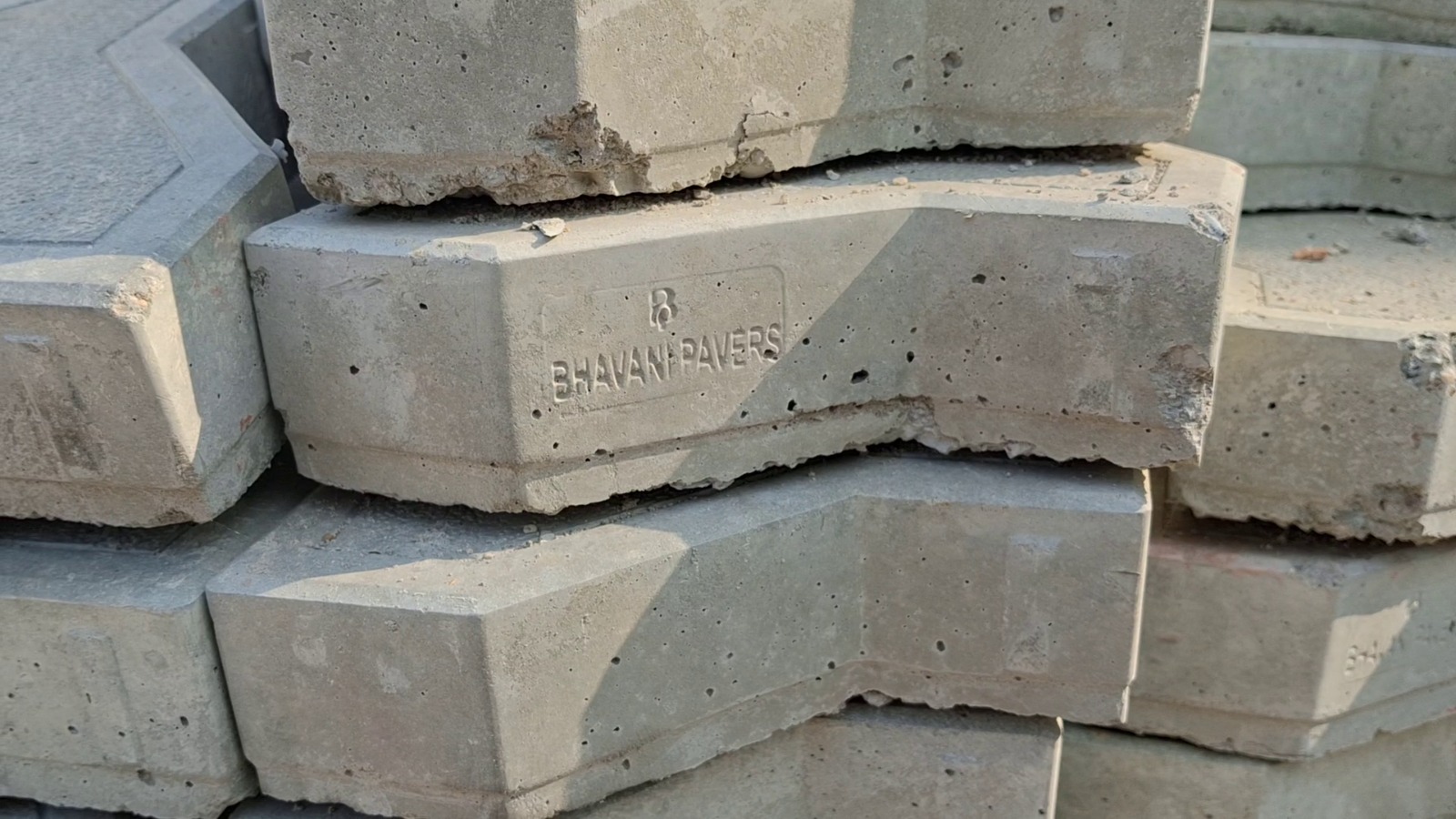 જીલ્લા ભાજપ અધ્યક્ષ પર પદના દુરુપયોગના આક્ષેપ: વિકાસના નામે ભવાની પેવર્સને ફાયદો?