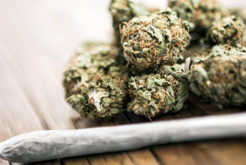 નાગરવાડા વિસ્તારમાં ગાંજો વેચતા એક શખ્સને પોલીસે ઝડપી પાડ્યો