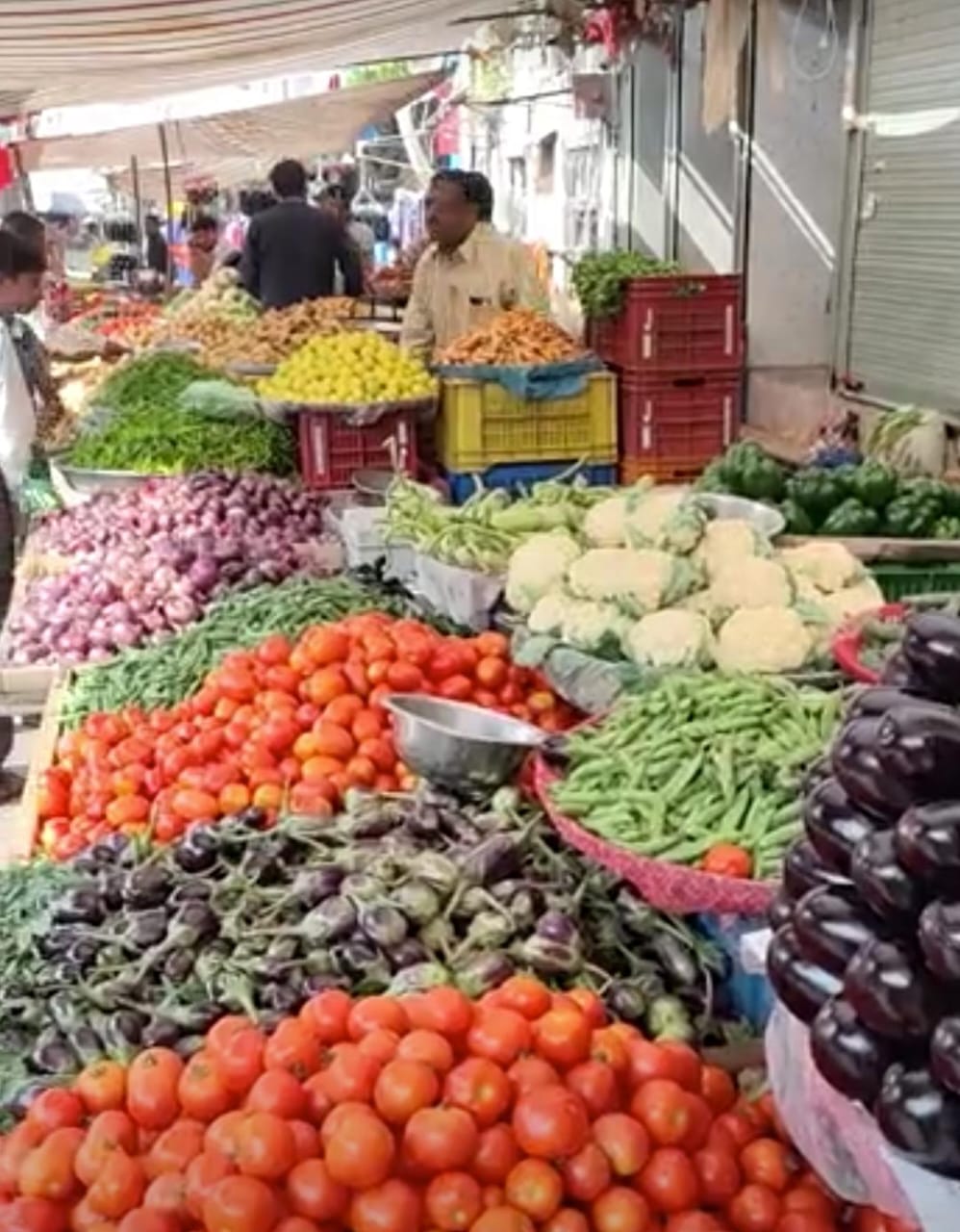 શાકભાજીના ભાવમાં 30 ટકા જેટલો વધારો રીંગણાના ભાવ પણ આસમાને પહોંચ્યા 