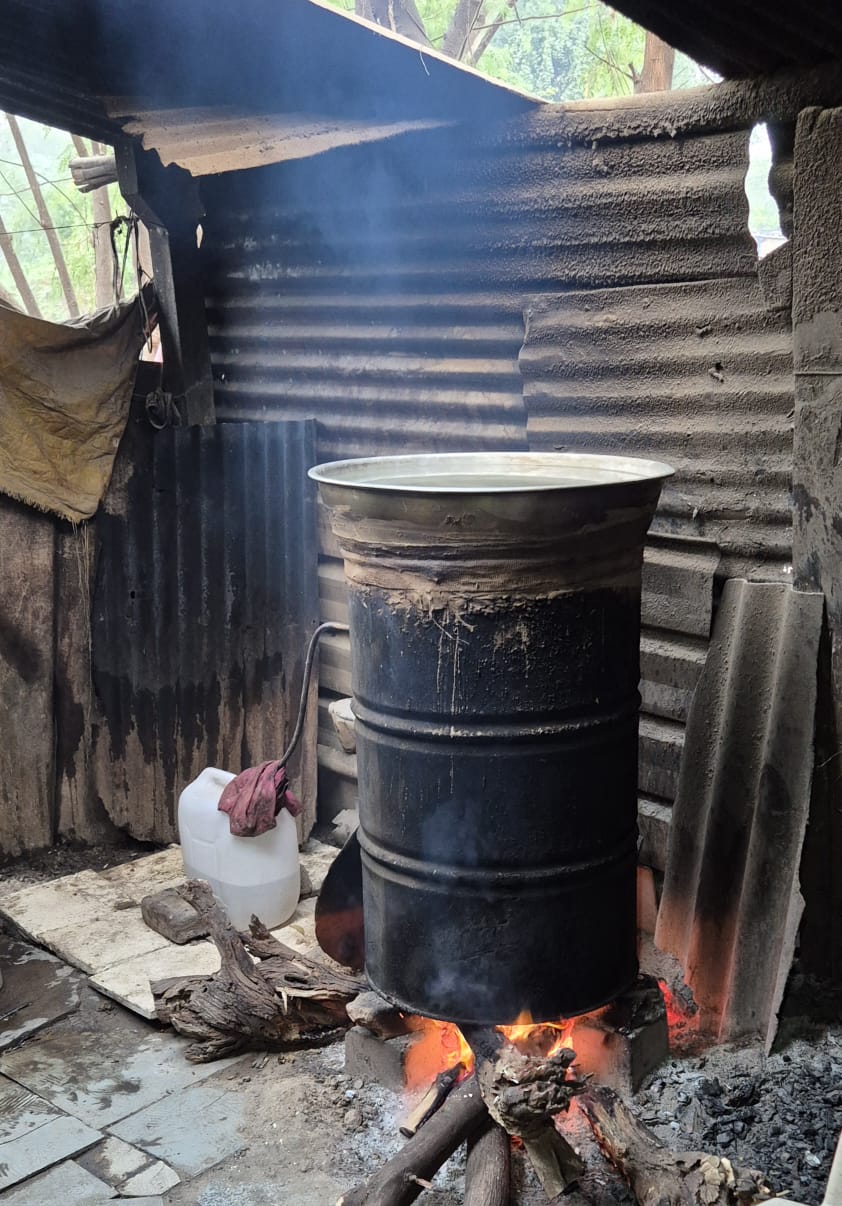 વડસર ગામે ગોચરમાં ચાલી રહેલી દેશી દારૂની ભઠ્ઠીઓ પર એલસીબી જોન 3 ની ટીમે ત્રાટકી ત્રણ મહિલા બુટલેગરને ઝડપી પાડી