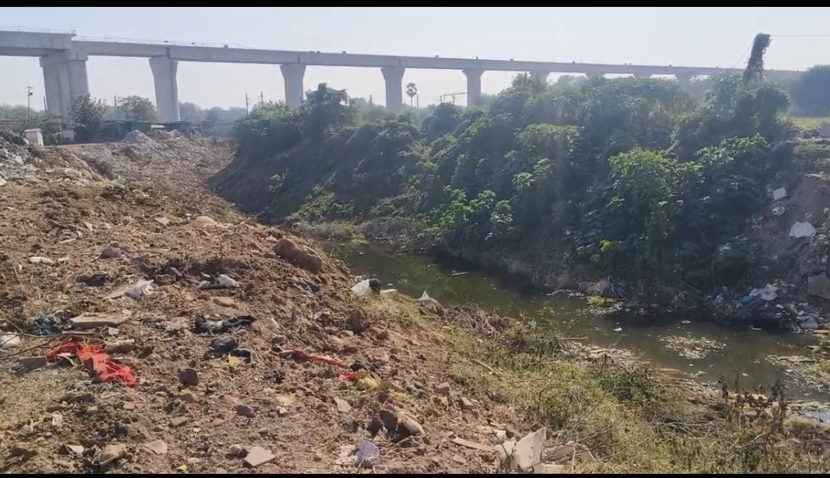 વિશ્વામિત્રી નદી કિનારે કચરો હટાવવાની કામગીરી શરૂ