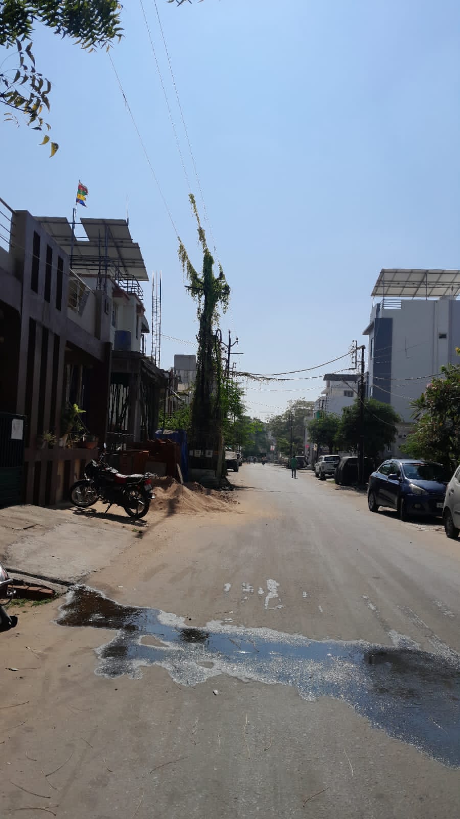 વીજ તંત્રની બેદરકારી ટ્રાન્સફોર્મર પર ચઢેલા વેલા જોખમ બની રહ્યા