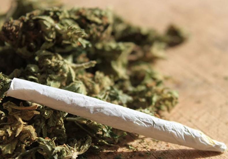 લાલબાગ વિસ્તારમાં ગાંજાના જથ્થા સાથે એક શખ્સને નવાપુરા પોલીસે પકડ્યો