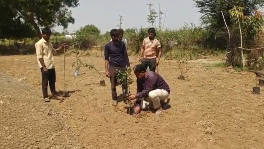 અખાત્રીજના શુભદીને ખેડૂતોએ કરી ખેતીની શરૂઆત
