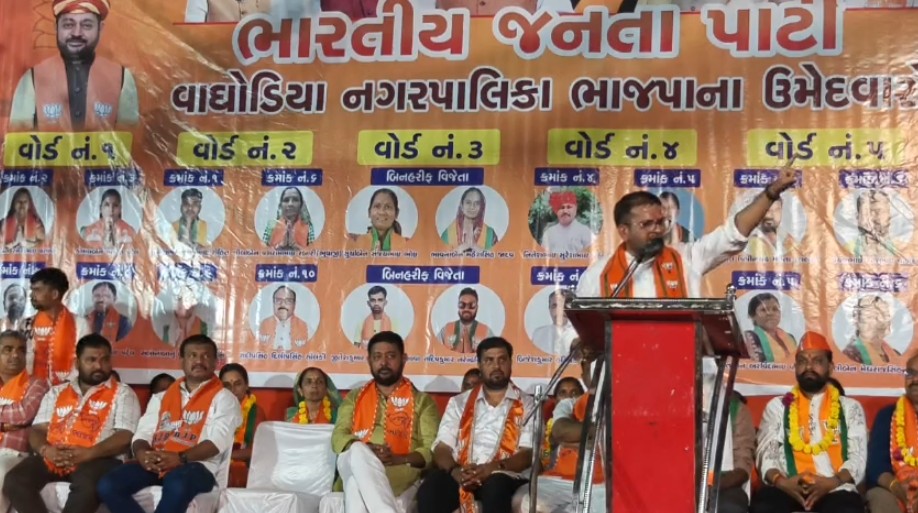 નગરપાલિકા ઉમેદવારની જાહેરસભામાં ડૉ. ઋત્વિક પટેલની ગર્જના