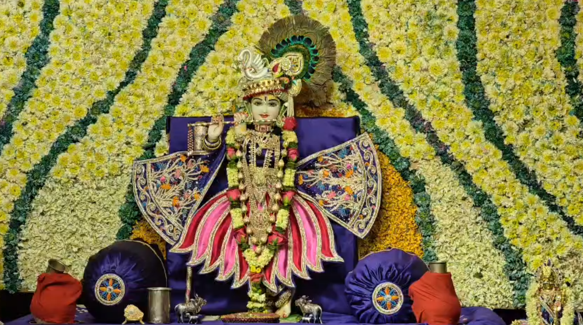 શ્રી મુરલી મનોહર ભગવાનના 48મા પાટોત્સવે ભક્તિમય માહોલ, અન્નકૂટ દર્શને ઉમટ્યા વૈષ્ણવો