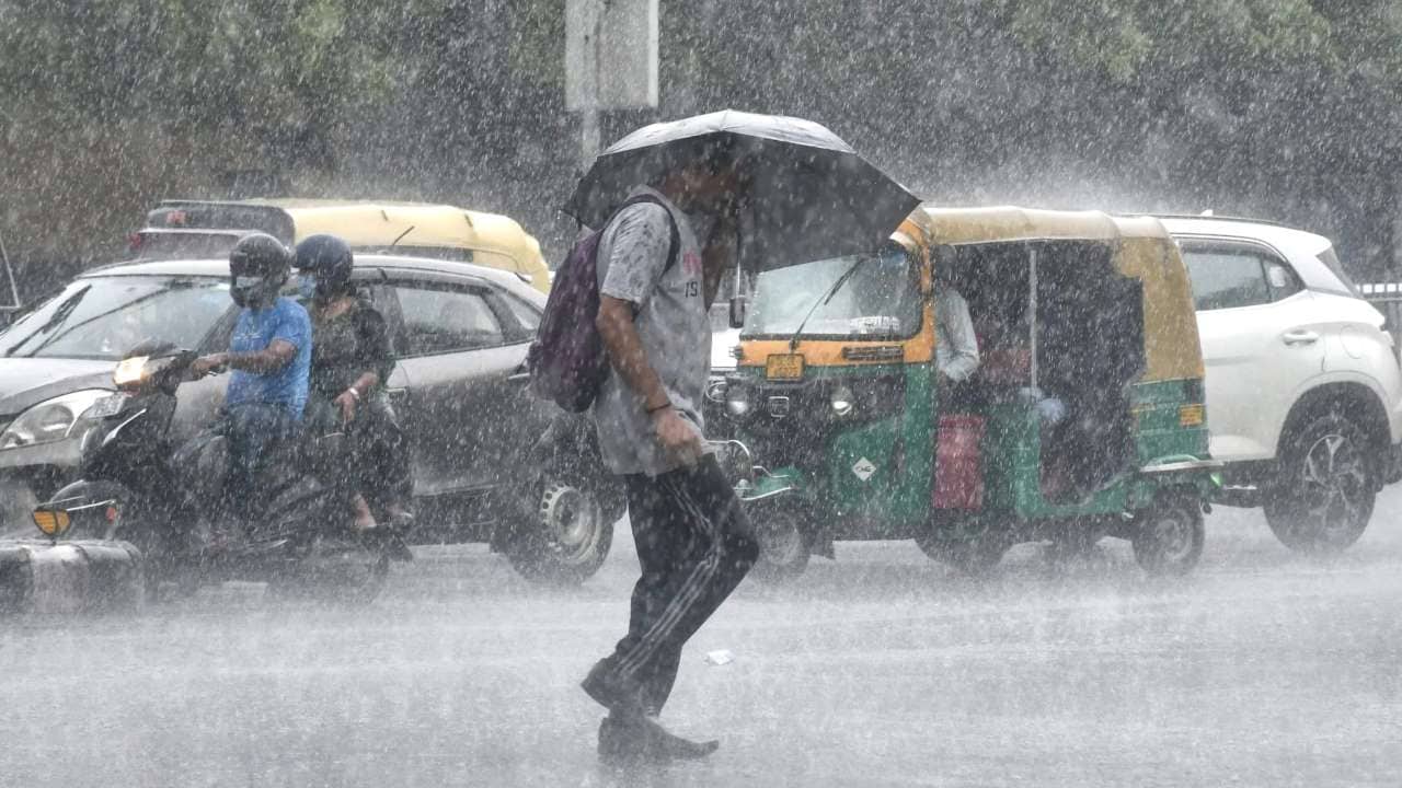 રેડ એલર્ટ: 24 જુલાઈએ વડોદરાની તમામ શાળા-કોલેજો બંધ