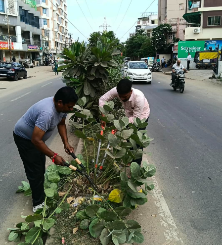 વન ડે વન રોડ અભિયાન હેઠળ મુખ્ય માર્ગો પર સફાઈ અને વૃક્ષોનું ટ્રિમિંગ