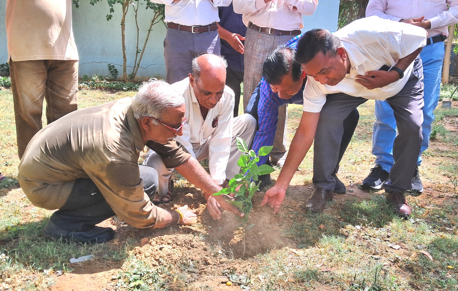 ‘વિશ્વ પર્યાવરણ દિવસ’ નિમિત્તે આકાશવાણી વડોદરા ખાતે વૃક્ષારોપણ કાર્યક્રમ યોજાયો