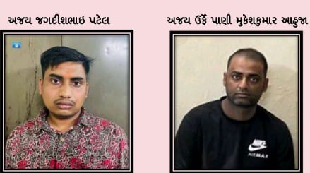 પ્રોહીબીશનના ગુનાઓમા સંડોવાયેલ બે આરોપીઓની પાસા કરતી   વડોદરા પોલીસ