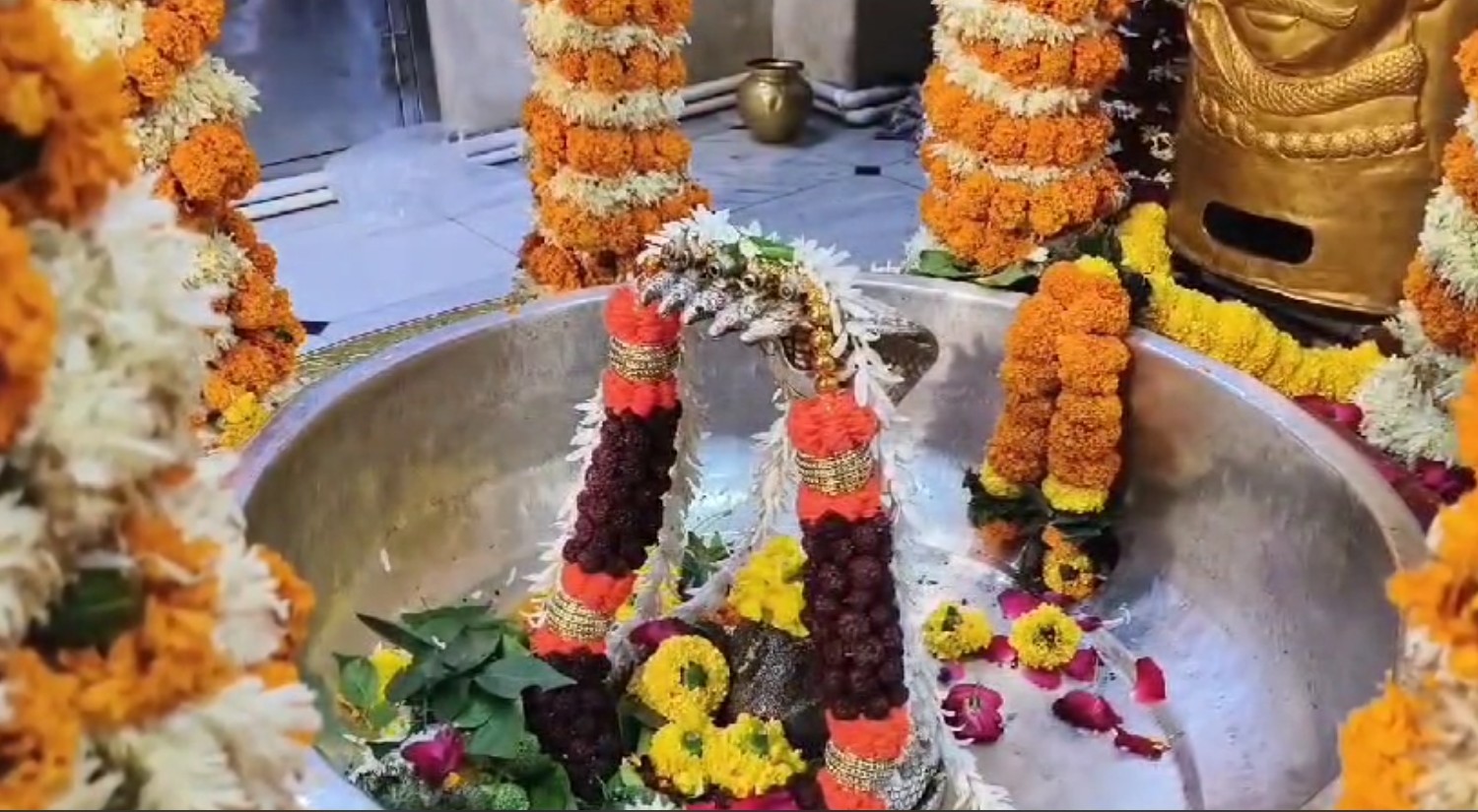 મૌની અમાવસ્ય નિમિત્તે શ્રદ્ધાળુએ નર્મદા સ્નાન સહિત કુબેર ભંડારી મહાદેવના દર્શનનો લાભ લીધો 